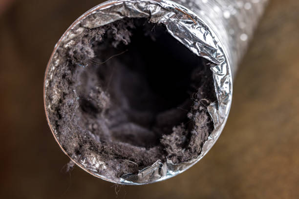 Best HVAC Maintenance and Cleaning  in Shallotte, NC